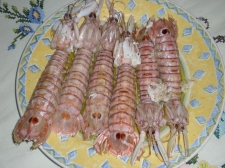 plato de galeras fritas - Pesca-turismo